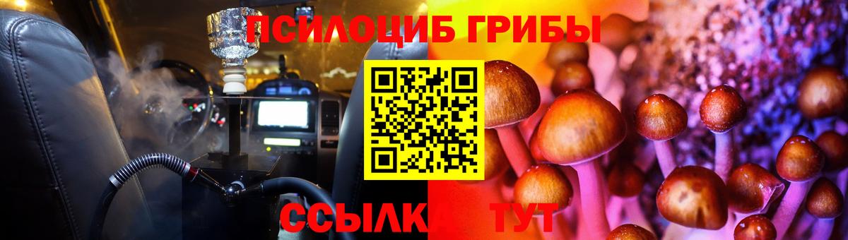 купить  сайты  Вход с VPN  Псилоцибиновые грибы мухоморы  Севастополь  Псилоцибиновые грибы Magic Shrooms 